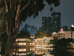 -荔湾湖公园