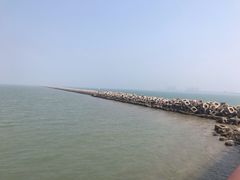 -东疆建设开发纪念公园