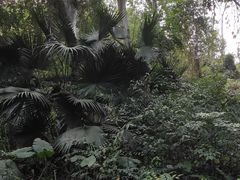 -深圳国际园林花卉博览园