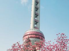 -东方明珠广播电视塔