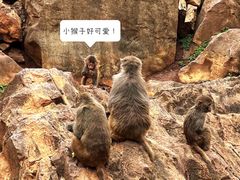 -昆明动物园