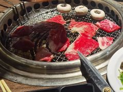 -火炉火自助餐(枫蓝国际店)
