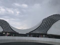 -哈尔滨大剧院