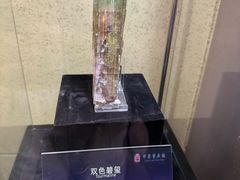 -中华赏石园