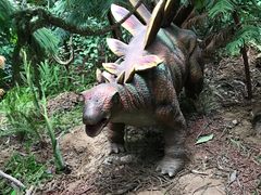 -北京呀路古热带植物园