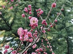 -白塘生态植物园