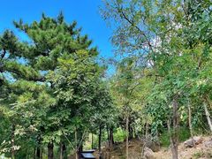 -北京十三陵国家森林公园蟒山景区