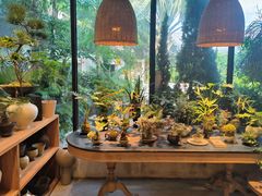 -自由生长植物工作室(深港花卉中心店)