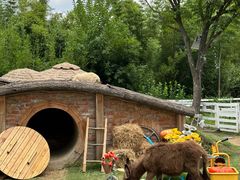 -HERRE·FARM 赫尔露营农场·团建聚会包场