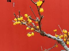 -无锡梅园公园