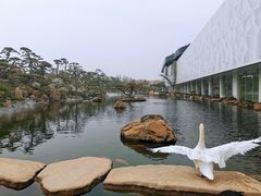 -罗红摄影艺术馆