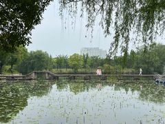 -鲁镇