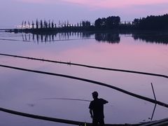 -滆湖低碳生态公园