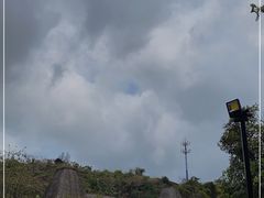 -亚龙湾热带天堂森林公园