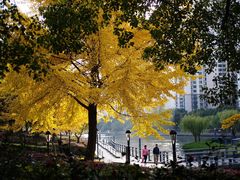 -苏州河梦清园环保主题公园