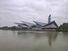 -盐城丹顶鹤湿地生态旅游区