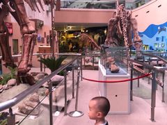 -陕西自然博物馆