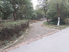 -上海吴淞炮台湾国家湿地公园