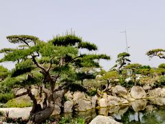 -罗红摄影艺术馆