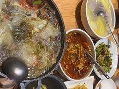 -滇铺子·云南特色菜·第九届野生菌美食节(东风东路c86店)