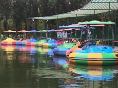 -长白岛森林公园