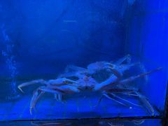 -阳光码头海鲜火锅(世纪大道店)