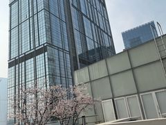-成都尼依格罗酒店