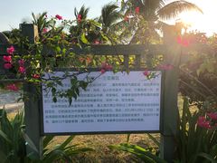 -亚龙湾国际玫瑰谷