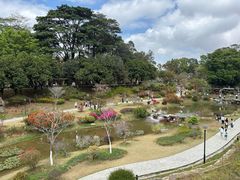 -东莞植物园