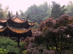 -杭州黄龙洞