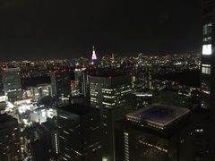 -东京都厅舍