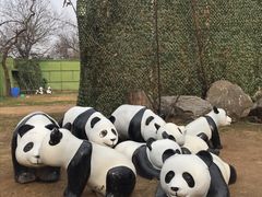 -西安秦岭野生动物园