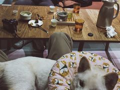 -柴务处·柴犬主题狗咖