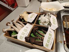 -海底捞火锅(吾悦广场店)