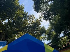 -Purcotton全棉时代(瑞安盛荟店)