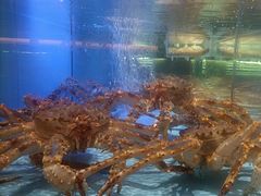 -阿伟海鲜楼·福建菜(延寿店)