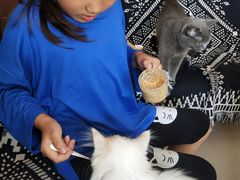 -平行世界·猫咖(首经贸店)