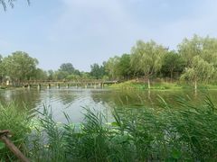 -东郊湿地公园
