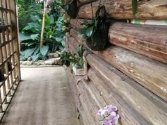 -南山植物园
