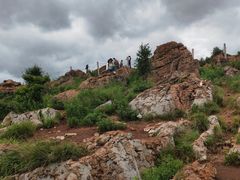 -长虫山生态公园风景林