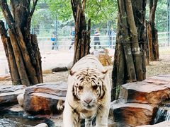 -北京野生动物园