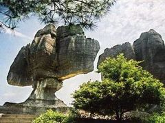 -梦幻奥陶纪景区