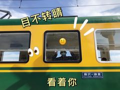 -阳澄湖半岛旅游度假区