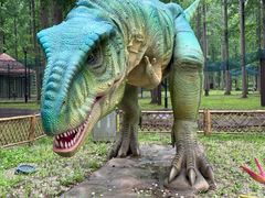 -黄海国家森林公园