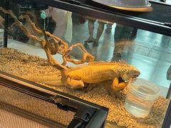 -上海跨国采购会展中心