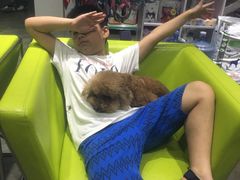 -暖阳宠物医院·犬猫康复中心·骨科
