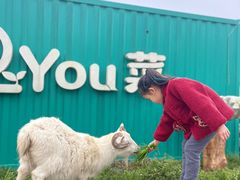 -加顺农场餐厅