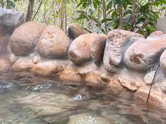 -深业半汤御泉庄温泉