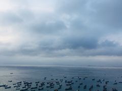 -枸杞岛