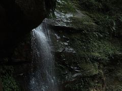 -碧峰峡风景区